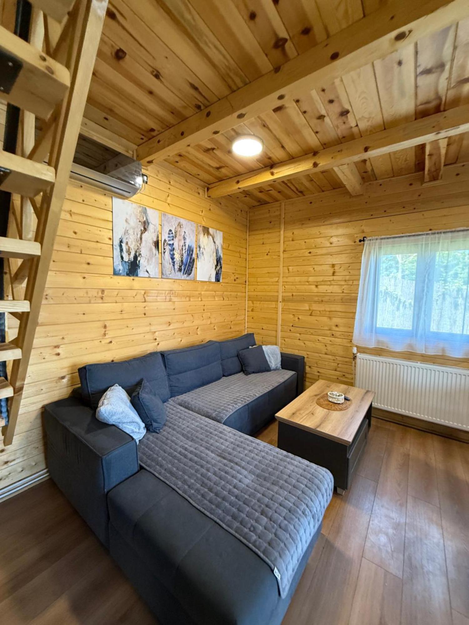 Luxury House Nena Fruska Gora - Kuca Za Odmor 度假居 Velika Remeta